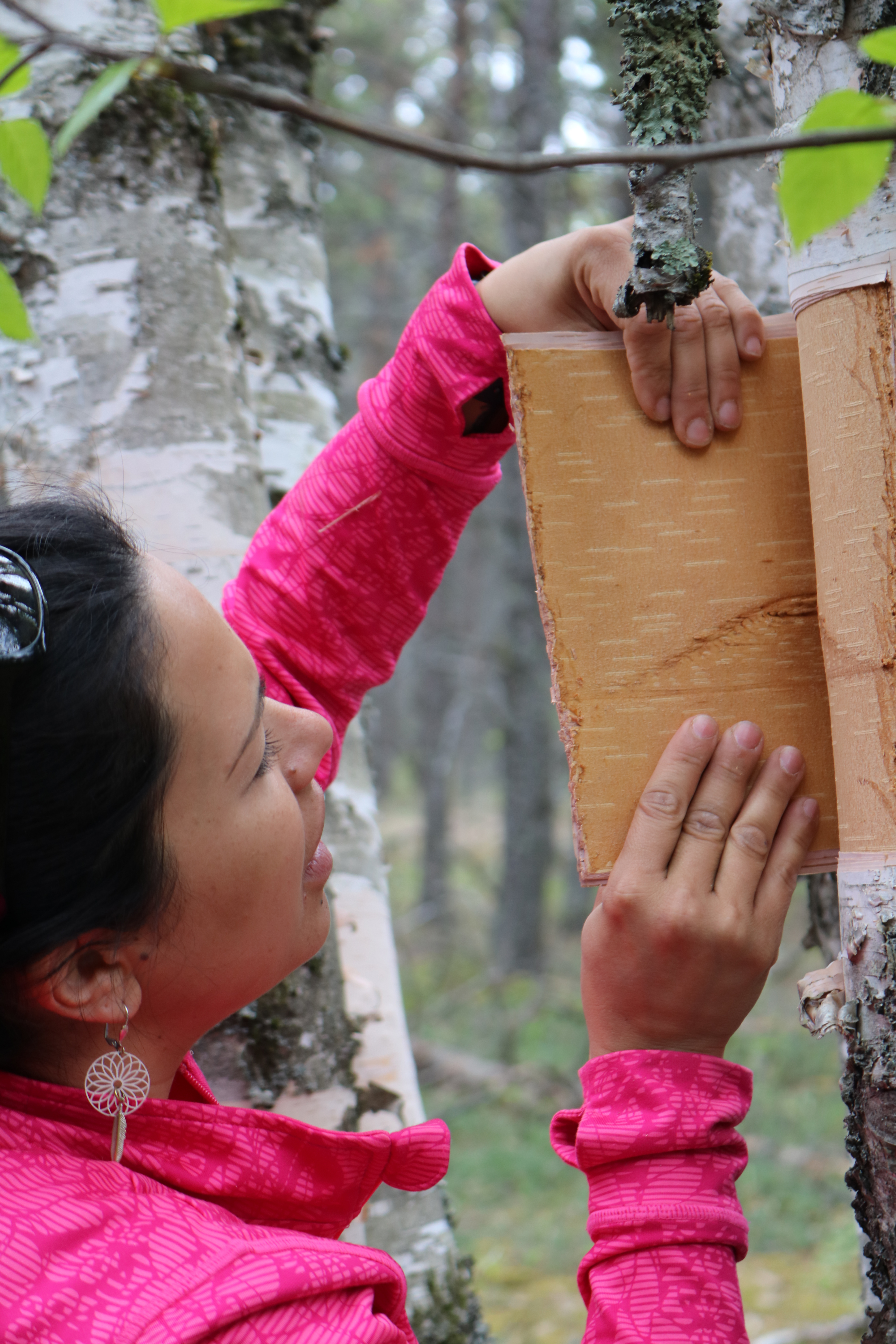 st Johns birch bark 003.jpg